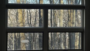 A room with a large arched window overlooking a forest. - 3bed 3bath sleeps 8 @ Hidden Valley is a ski in-out oasis steps for the action.  (Somerset)