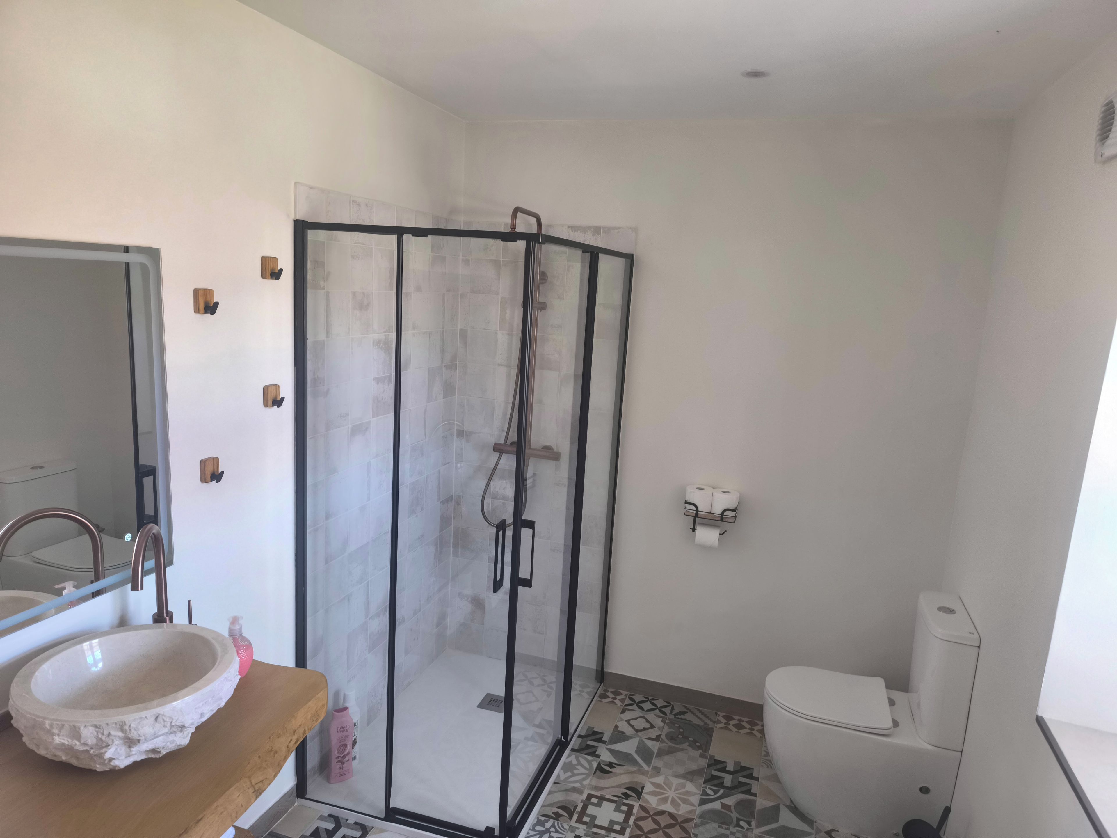 Une salle de bain avec une douche à parois de verre, un lavabo avec un receveur en pierre, des toilettes et un miroir.