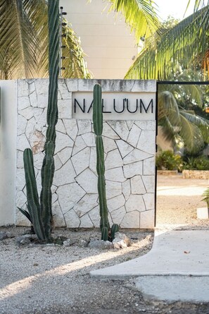 Exterior detail - Double Villa Oasis, 8 BR, 20 ppl, Pool, Concierge (Tulum)