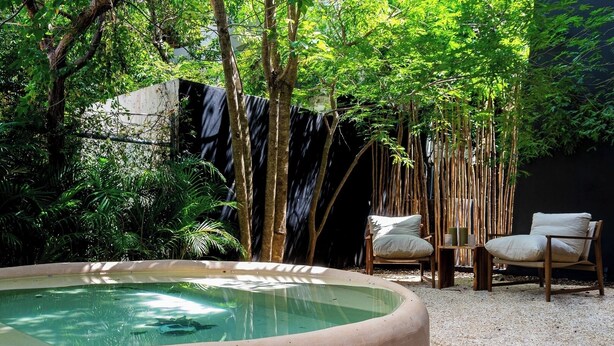 Un espace extérieur paisible, doté d’un jacuzzi, de deux chaises en bois et d’une végétation luxuriante.