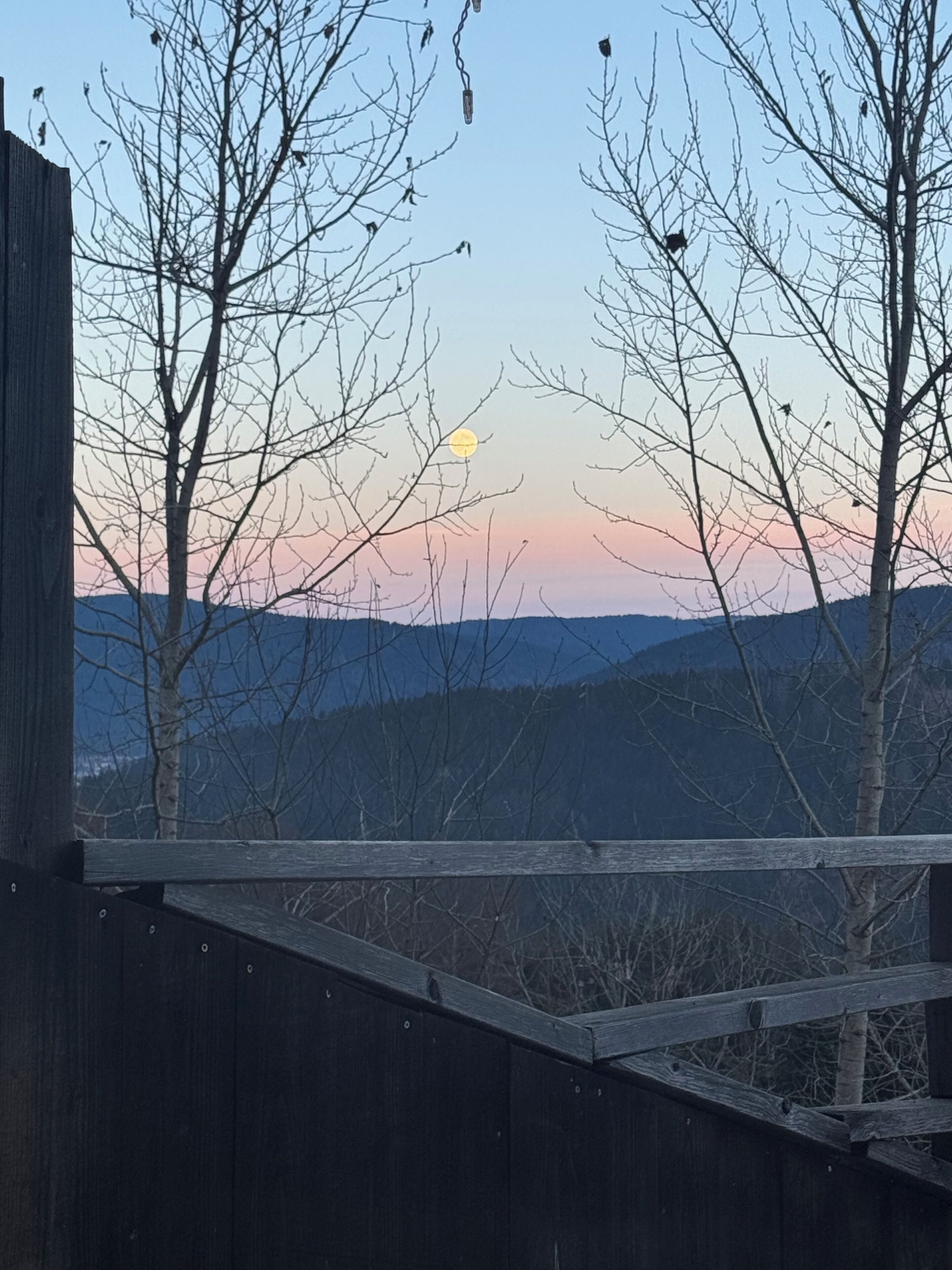 A wooden deck with a view of bare trees and a sunset over a mountain range.