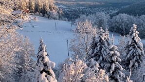 Ett snötäckt landskap med träd och en avlägsen vy över en stad.