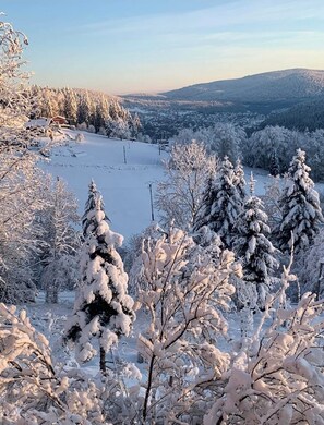 A snowy landscape with trees and a distant view of a town. - Chalet a Gérardmer avec vu a couper le souffle 13 personnes (Gérardmer)