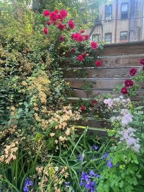 Exterior detail - Charming 1-bedroom garden apartment in vibrant Brownstone Brooklyn (Brooklyn)