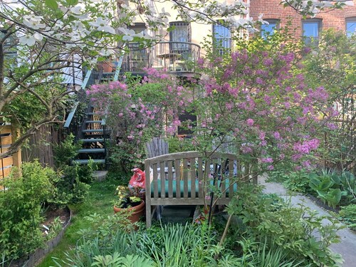 Charming 1-bedroom garden apartment in vibrant Brownstone Brooklyn