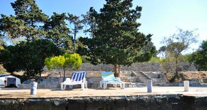 Apartman Olive Garden - Three Bedroom apartment With Sea View