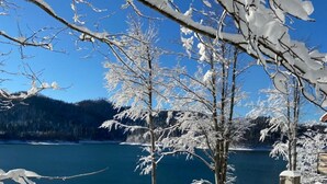 A clear view of a lake surrounded by snow-covered trees and a forested mountain range. - Holiday House Briški - One Bedroom House With Terrace (Delnice)