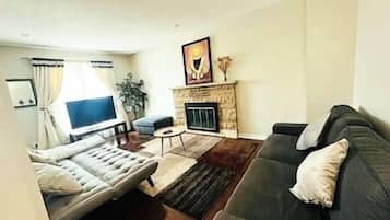 Televisie, een open haard en boeken