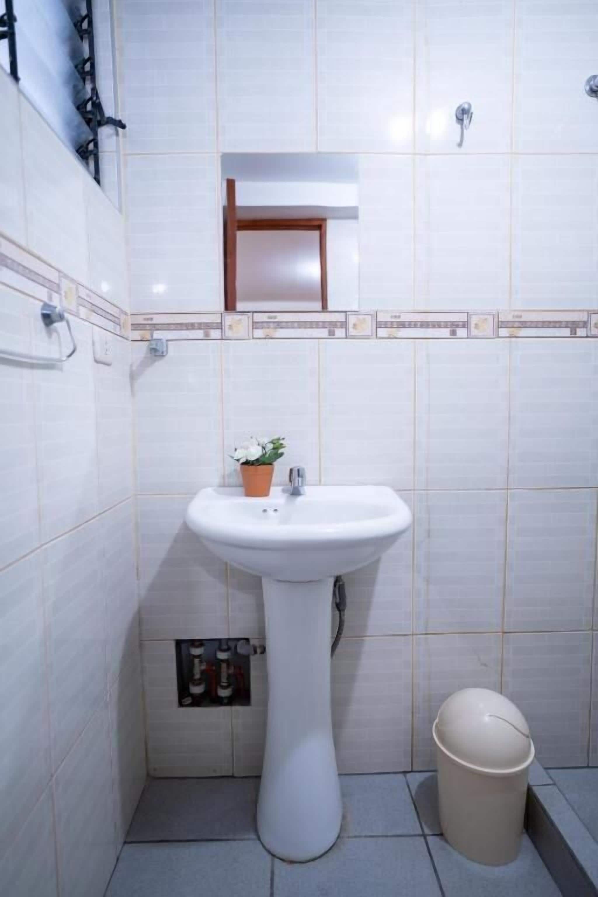 A bathroom with a white pedestal sink, a small potted plant, a beige trash bin, and a tiled wall with a decorative border.