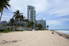 Ein Strand mit einem hohen Hotelgebäude, Palmen und blauem Himmel.
