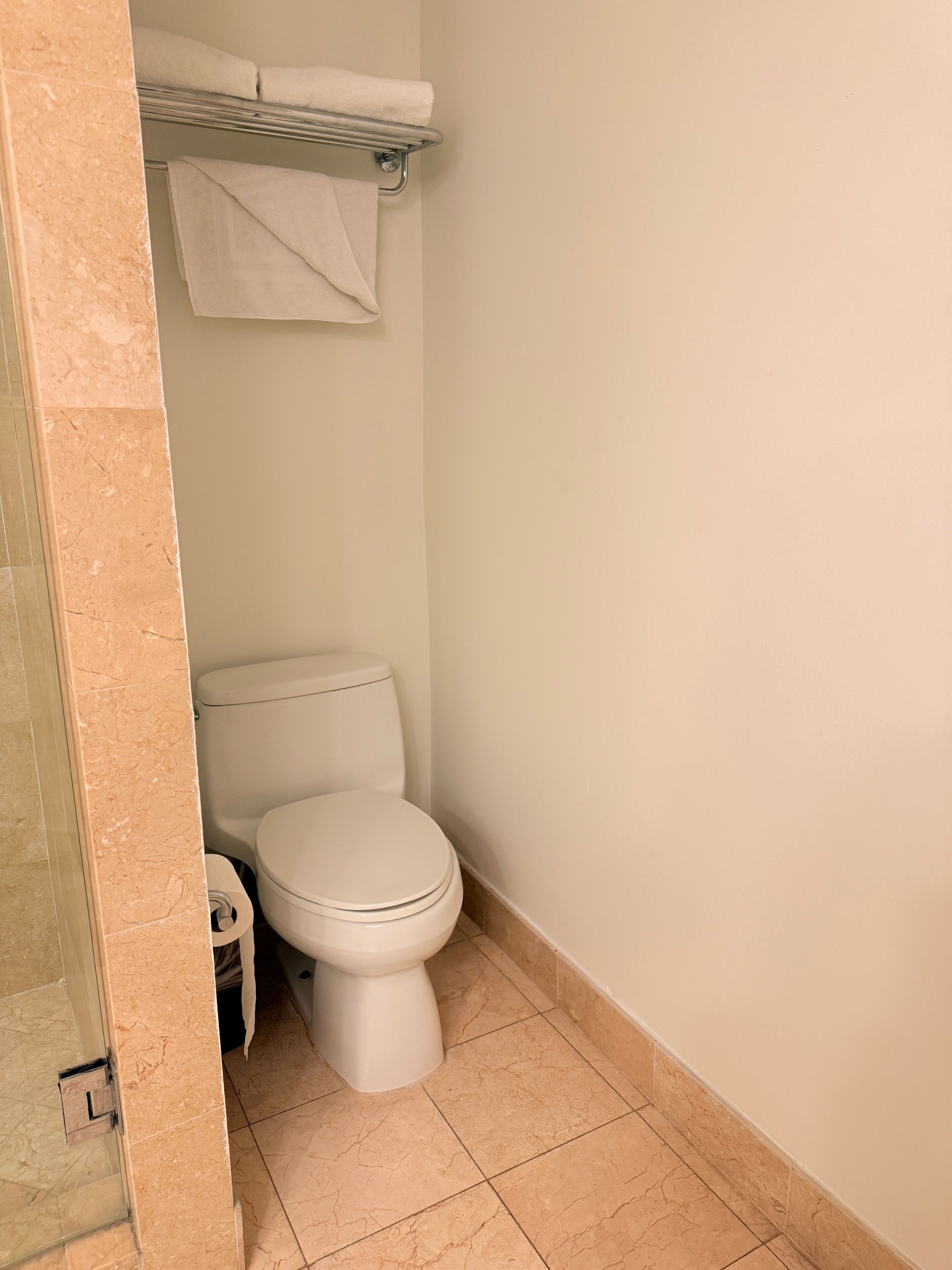 Een kleine badkamer met toilet, een handdoekhouder en een douchehoek.