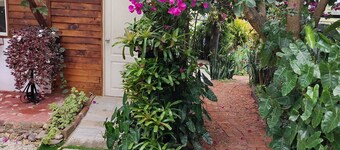 Nature, calm and comfort in a chalet close to everything but far from noise.