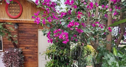 Nature, calm and comfort in a chalet close to everything but far from noise.