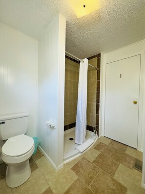 A bathroom with a toilet, shower, and a door. - Restful, 2b/1b Unit along the Gasconade River (Richland)