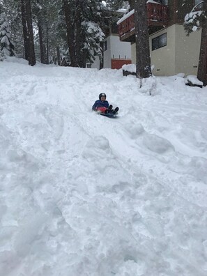 Sneeuw- en skisporten