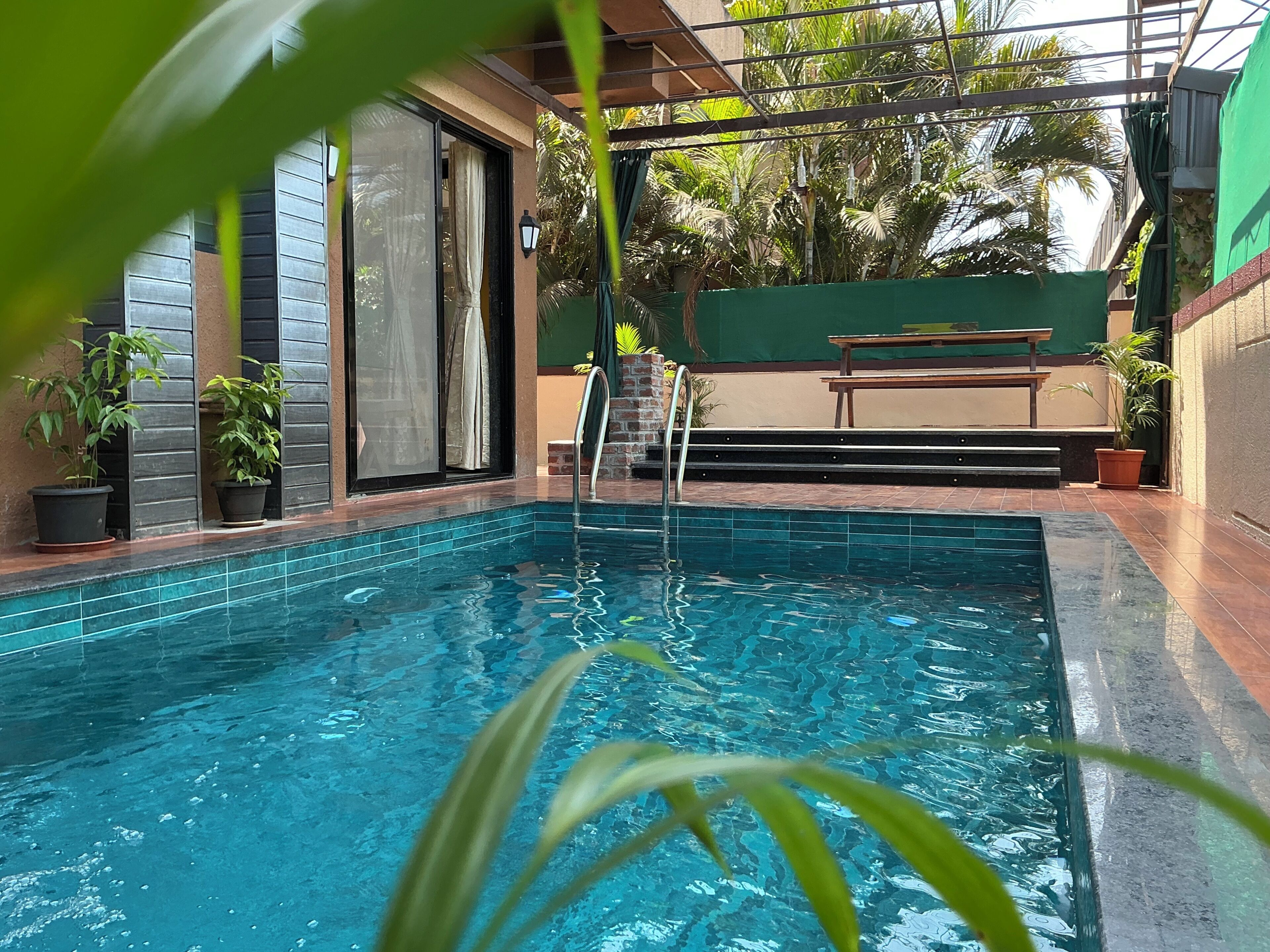 A swimming pool with a ladder, surrounded by potted plants and a bench.