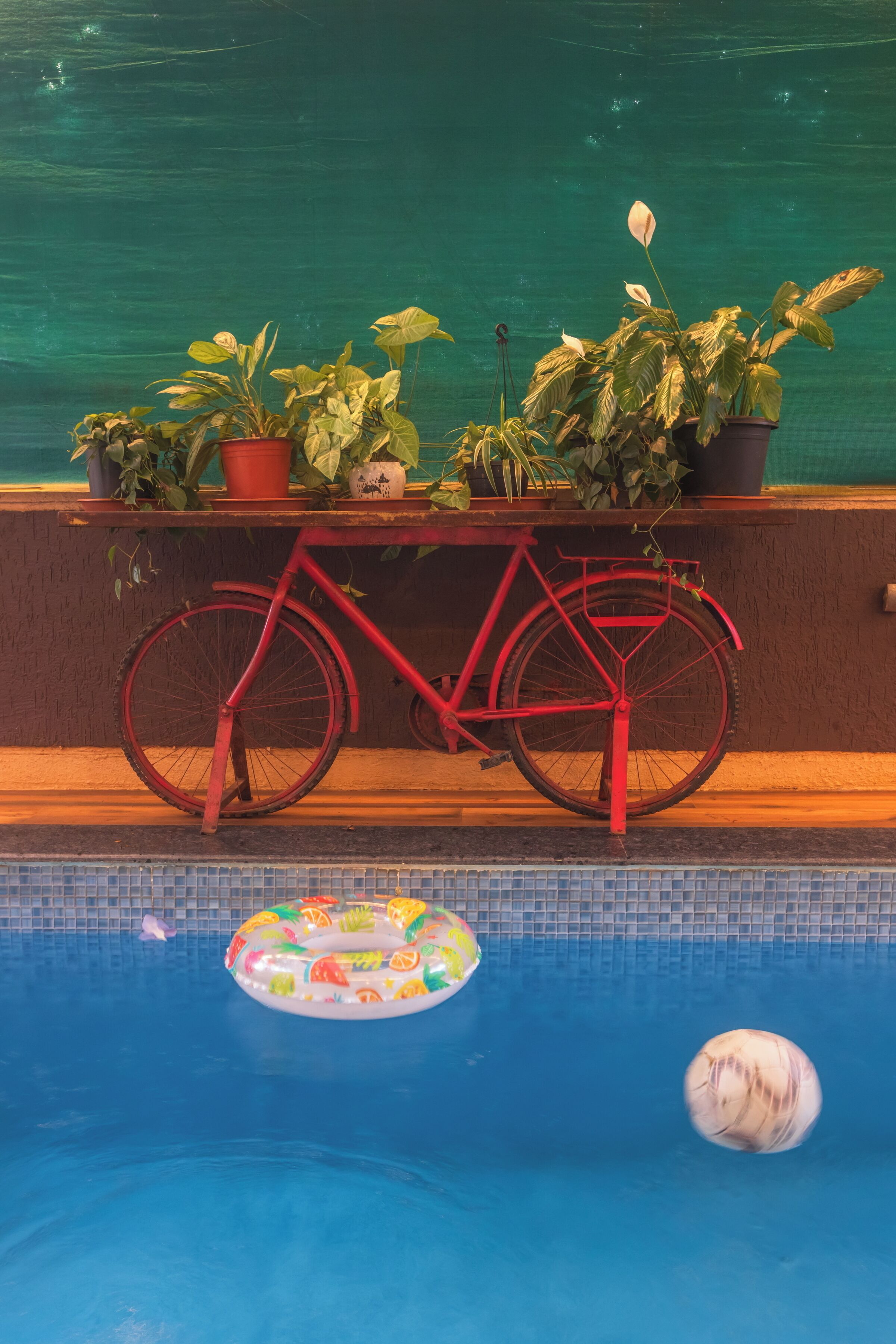 Een rode fiets leunt tegen een muur met bloempotten, een zwembad met een drijvend badring en een bal in het water.