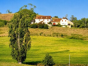 Un paisaje rural con un árbol grande al frente y un edificio blanco con puerta roja en el fondo.