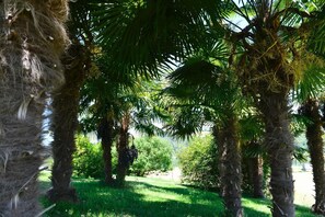 Property grounds - ENDRIMONS - VIELLESEGURE (VIELLESEGURE)
