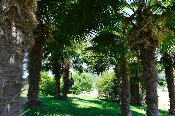 星評価なしの画像、1 / 37、ボタン