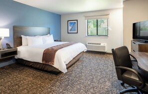 Standard Single Room | Premium bedding, pillow-top beds, desk, blackout curtains - My Place Hotel - Port Charlotte (Port Charlotte)