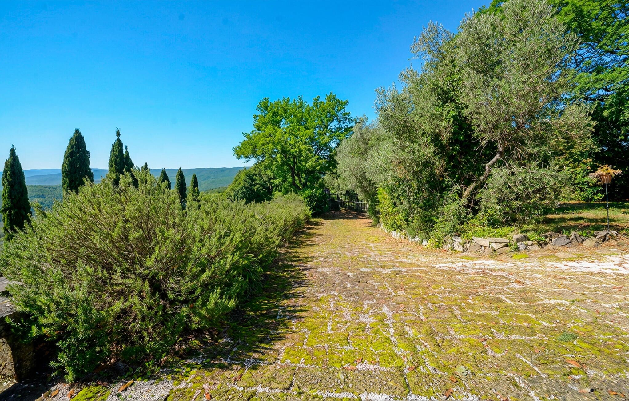 A paved pathway leading through a wooded area with trees and shrubs on either side.