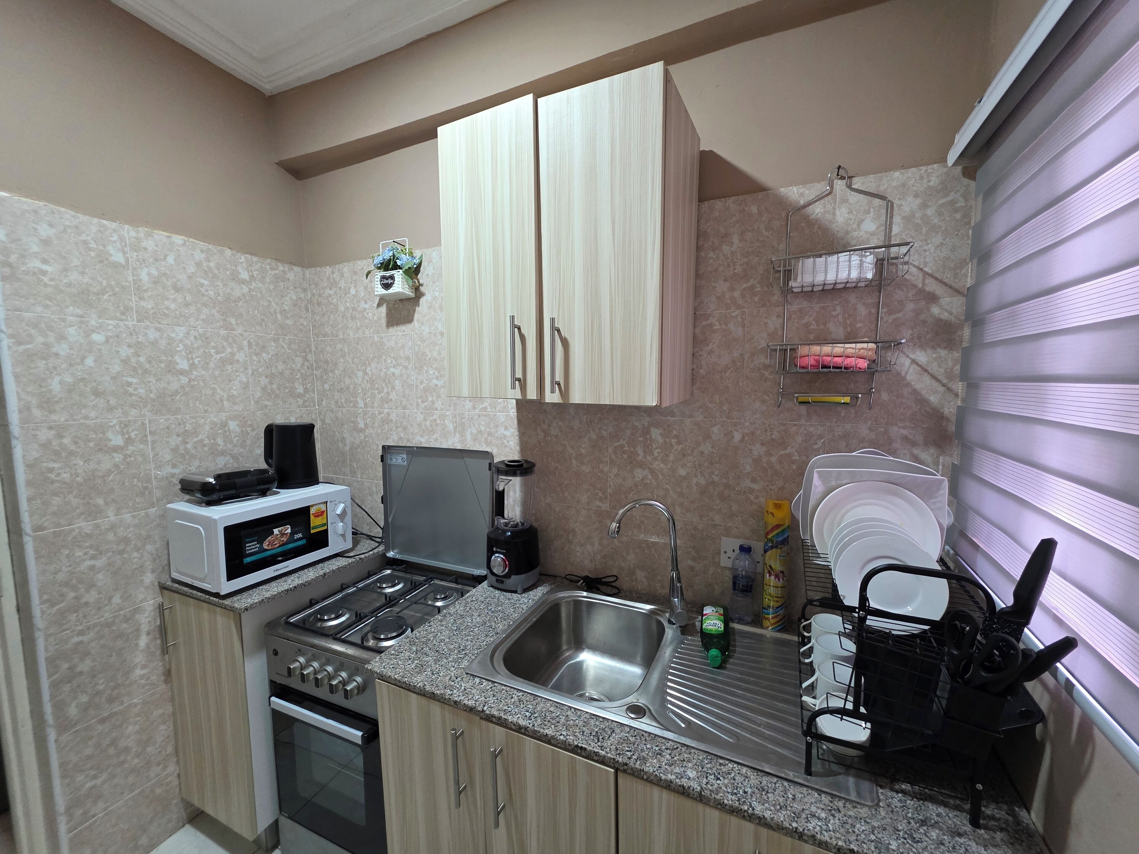 Deluxe Apartment, Mountain View | Private kitchen