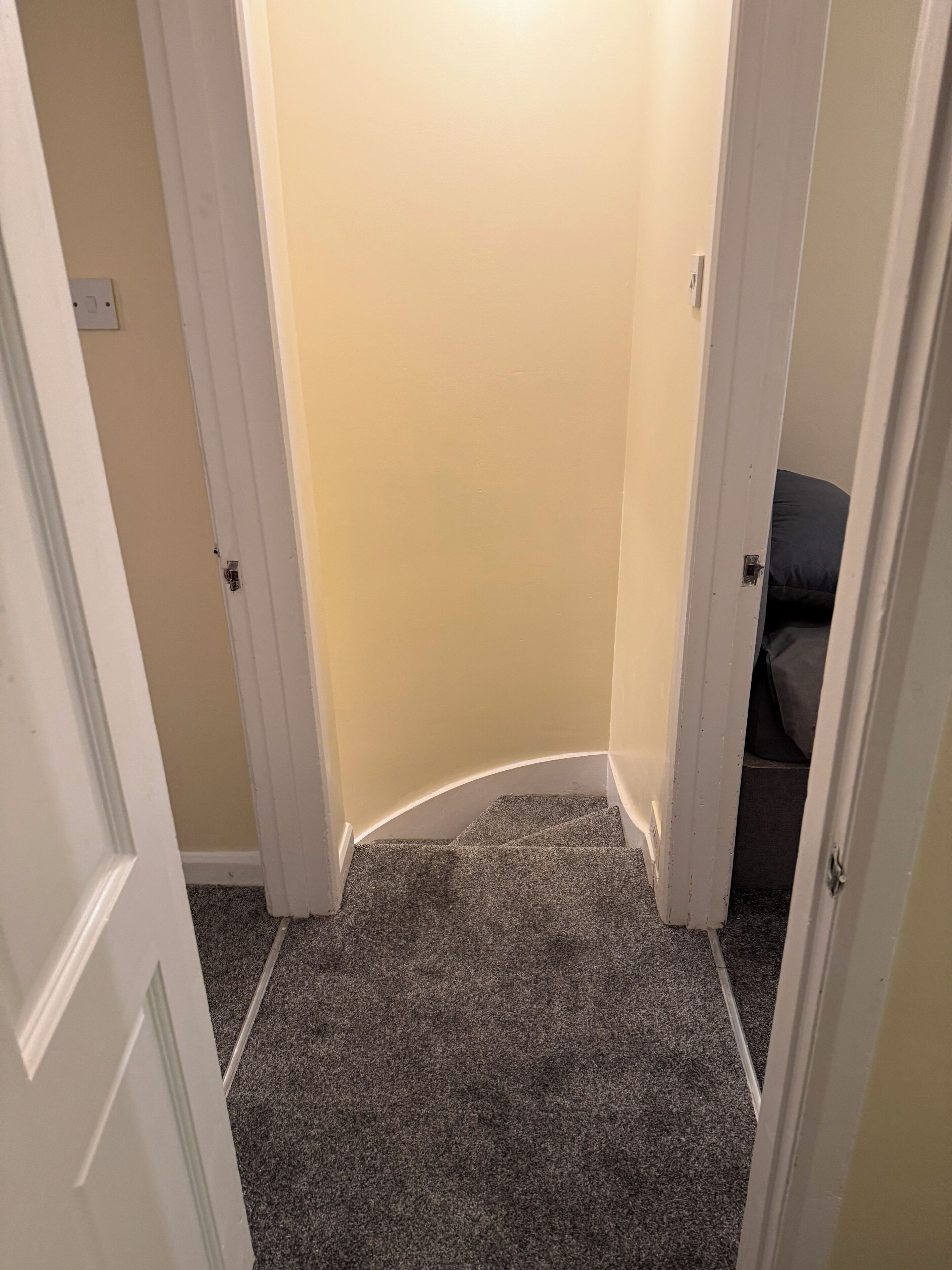A narrow hallway with carpeted stairs leading to a room.