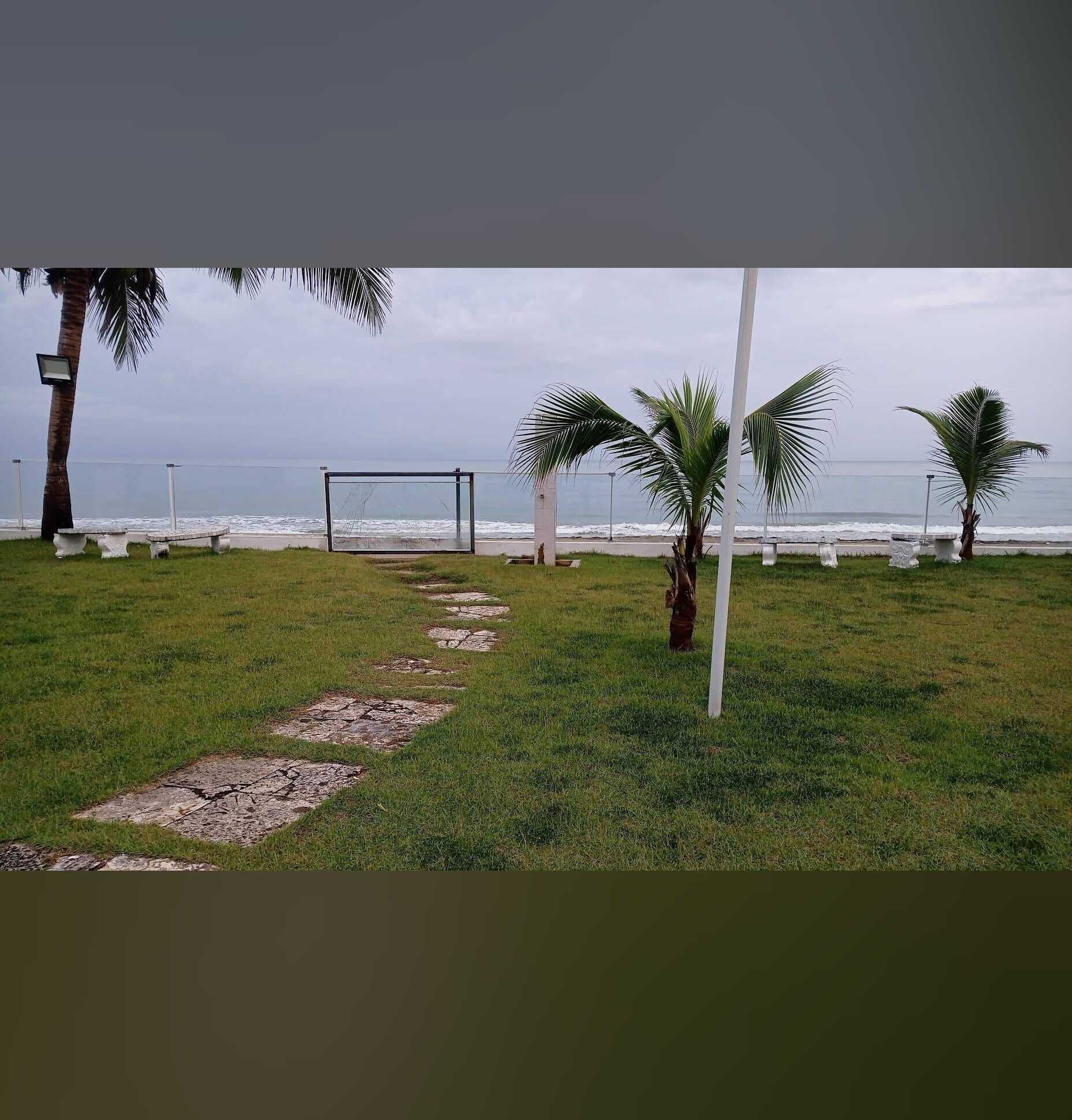 Un sentier bordé d’herbe qui mène à une plage où se trouvent des palmiers et une clôture blanche.