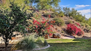 Ein angelegter Garten mit einer Steintreppe, die einen Hügel hinaufführt, umgeben von verschiedenen Sträuchern und Bäumen.