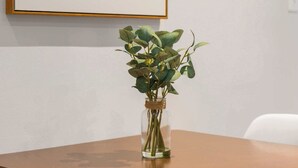 Una mesa de madera con un florero de vidrio transparente que contiene plantas verdes, un documento enmarcados en la pared y una silla blanca.