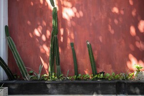 Exterior detail - Tropical Loft with Private Pool & Rooftop / Eat St (Seminyak)