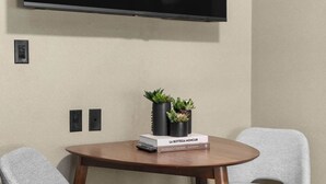 Une pièce avec un téléviseur affichant le logo de Netflix, deux fauteuils gris, une petite table avec des livres et des plantes, et un plancher en bois.