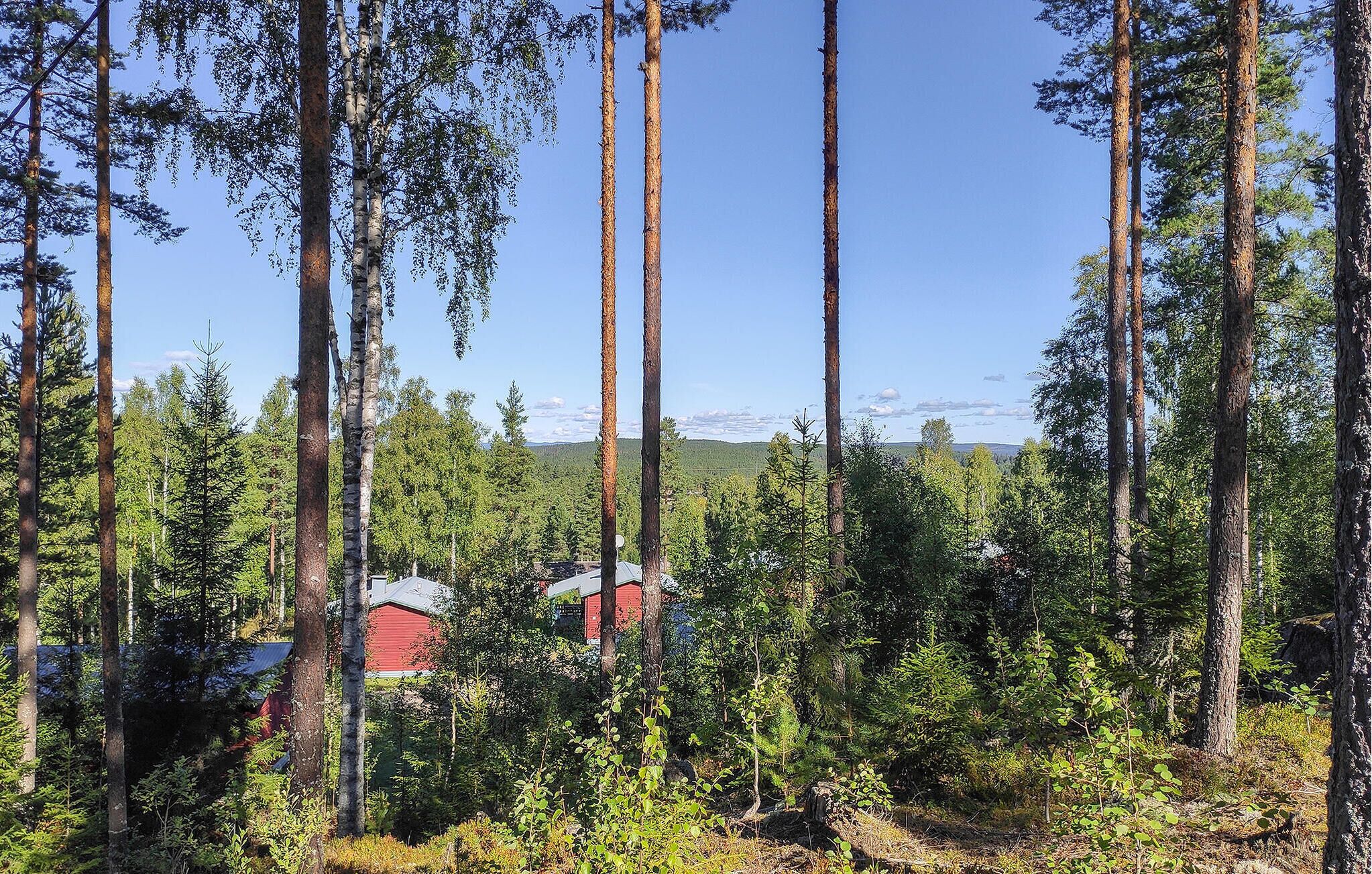 Une zone boisée avec de grands arbres et un bâtiment rouge en arrière-plan.