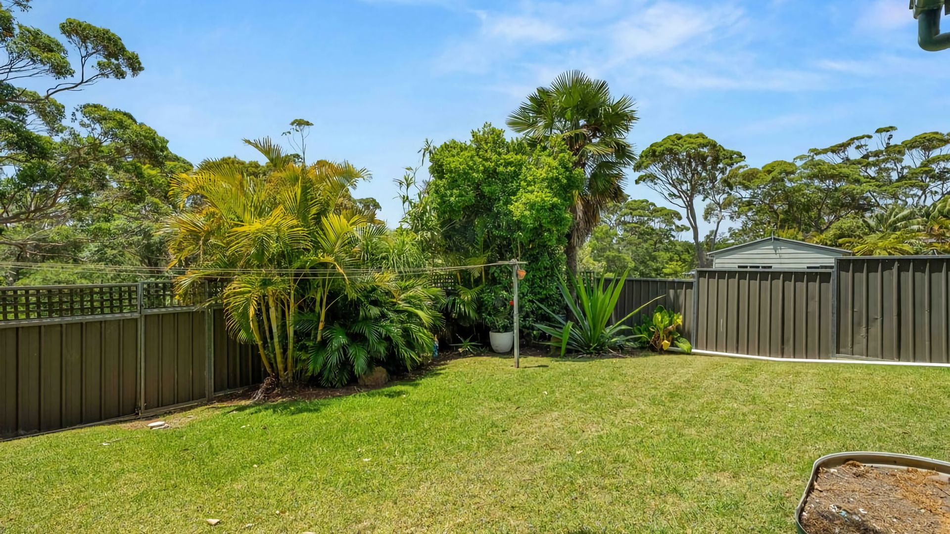 A backyard with a fenced area, a shed, and various trees and plants.