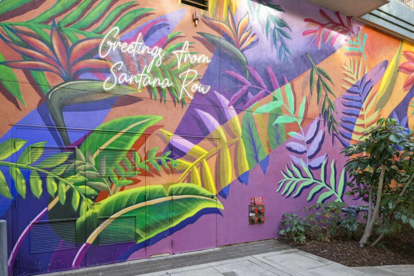 Un mural vibrante con follaje tropical y el texto 'Greetings from Santana Row'.