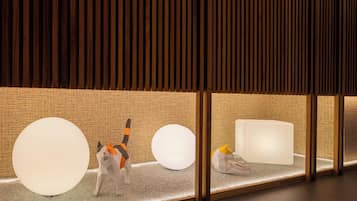 A modern interior with wooden slats, a textured wall, and geometric sculptures.