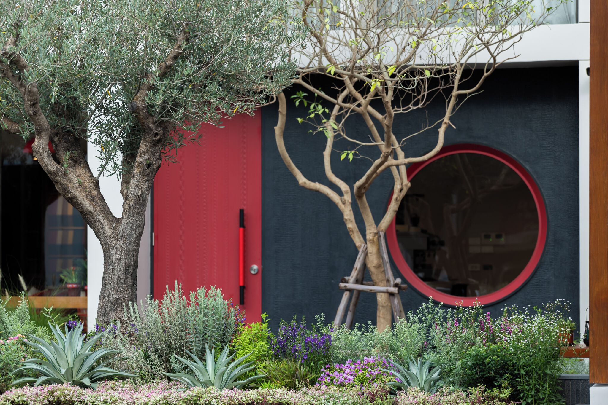 Un árbol con una puerta roja y una ventana circular al fondo.