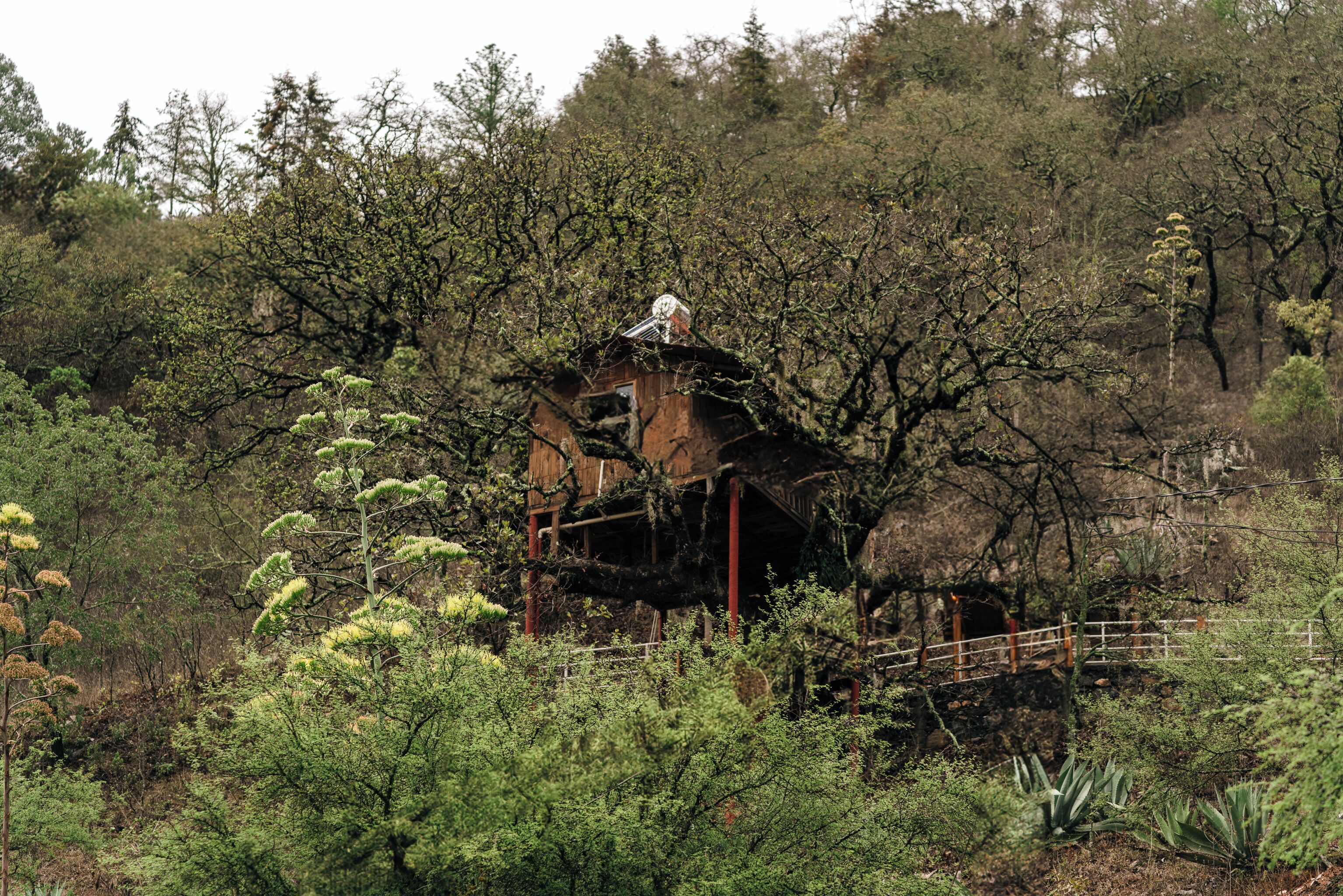 Kabin Klasik, balkon, pemandangan gunung