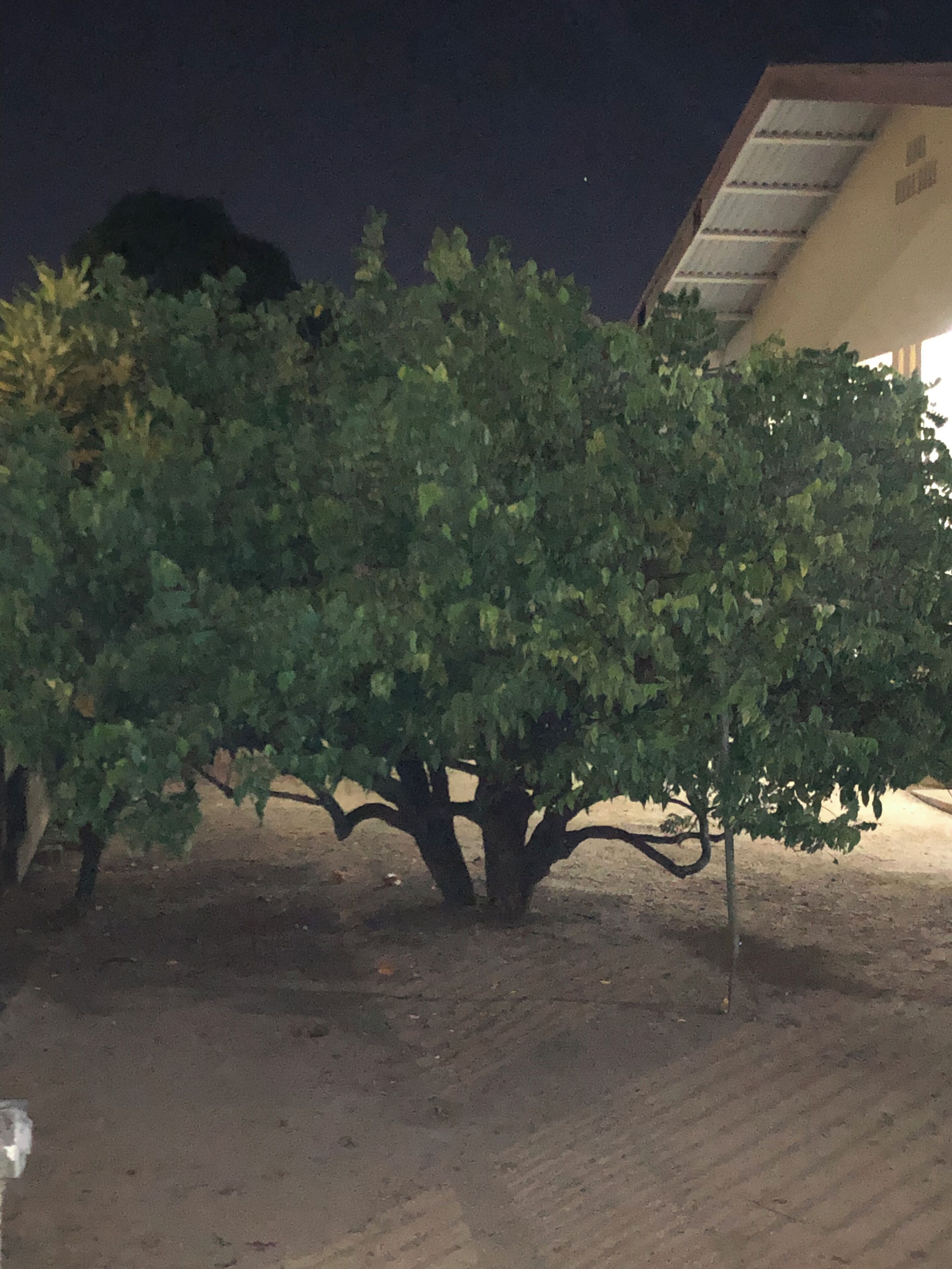 Apartment, 1 Bedroom, Smoking | Property grounds