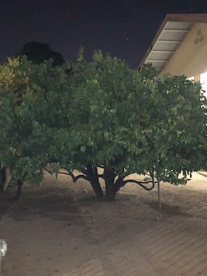 Apartment, 1 Bedroom, Smoking | Property grounds - 🏡 Logerthine Jan au Suriname ! 🇸🇷 (Hannaslust)