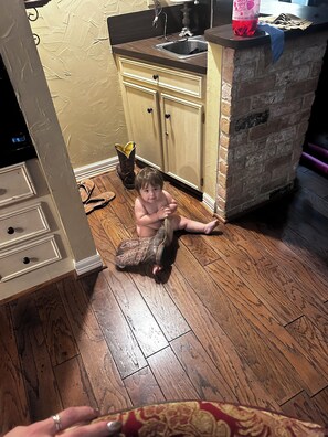 Interior - 3-bedroom villa in fantastic Conroe with cool AC (Conroe)