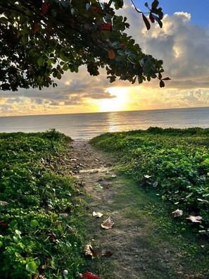 On the beach, sun loungers