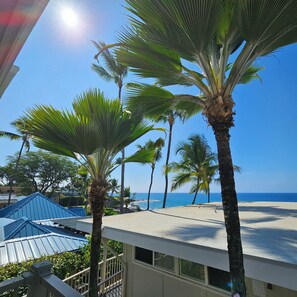 Property grounds - Oceanfront 1-br! Fall asleep to the sound of waves in fantastic Kailua-Kona! (Kailua-Kona)