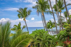 Sun-loungers, beach towels - Oceanfront 1-br! Fall asleep to the sound of waves in fantastic Kailua-Kona! (Kailua-Kona)