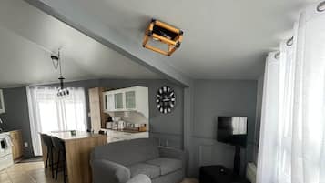 TV