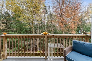 Property grounds - Bridges Cozy Hideaway at Sugarbush (Warren)