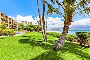 Property grounds - Bright island condo with ocean views (Wailuku)