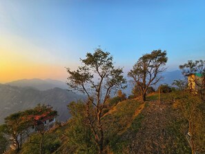Habitació prèmium, balcó, vistes a la muntanya | Vista del jardí