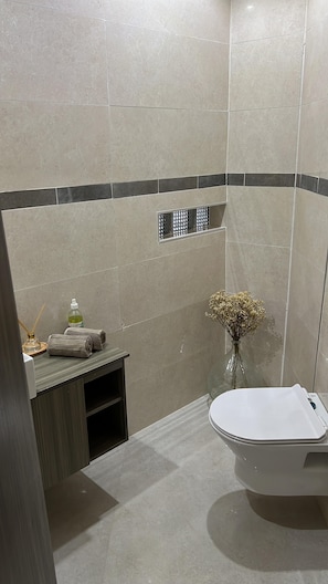 Dusche, Handtücher, Seife, Toilettenpapier
